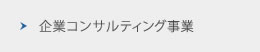 企業コンサルティング事業