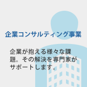 企業コンサルティング事業